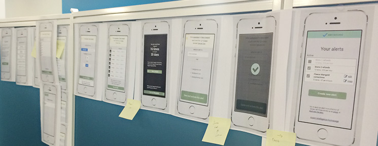 Development reference wall